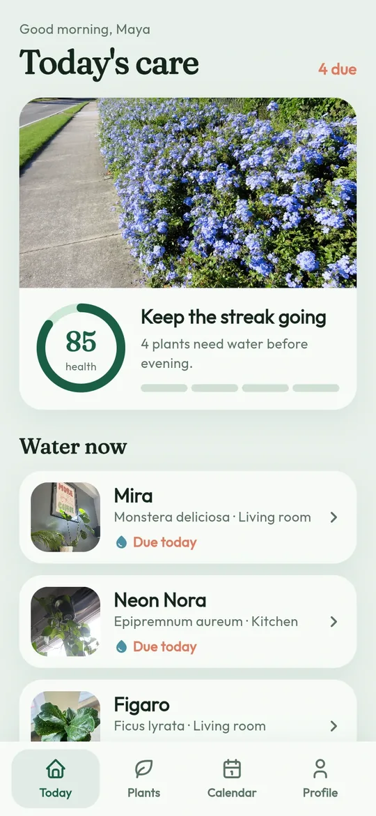 Bloom: plant care app built with FlutterGo, running in the live preview